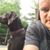 David Bachner's profile image