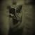 Andrea Peruzovic's profile image