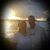 Lisa Cover's profile image