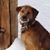 J.d. Bowkett's profile image