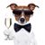 Sue Farrell Gilmer's profile image
