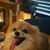 Gregg Judd's profile image