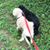 Toby Johnson's profile image
