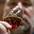 Matthew Chrispen's profile image