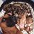 David Burroughs's profile image