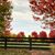 Cindy Egan Friedhoff's profile image
