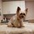 Wilma Lilly-Collins's profile image