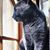 Audra Knoll's profile image