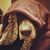 Daniel Bruder's profile image
