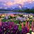 Terri Robison's profile image