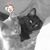 Dorothy Jensen's profile image