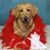 Jerry Maccario's profile image