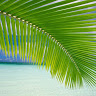 Jeannette T.'s profile image
