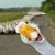 JoAnne Trexler's profile image