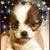 Carmen Aguilar's profile image