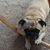 Andrea Walz's profile image