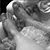 Stacey Hollis Smith's profile image