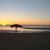 Mia Duplessis's profile image