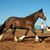Renee Lee's profile image