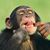 Delmar Wehr's profile image