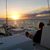 Terri Pearson-Nelson's profile image
