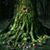 Dan McGuigan's profile image