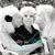 Aimee Bruce Garrett's profile image