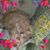 Mimi Behney's profile image