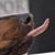 John Williams's profile image