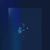 Elijah Ward's profile image