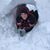 Lorena Rasmussen's profile image