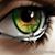 Deanna Lynn Fisch's profile image
