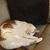 Donna Brunner's profile image