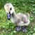 Julie Kennedy Doherty's profile image