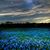 Suzie Q Hall's profile image