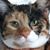 Liz Redfern's profile image