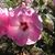 Shirley Lukens's profile image