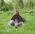 Mark Zang's profile image