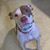 Sandra Bukar's profile image