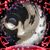 Phoebe Sickal-DeSmet's profile image