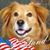 Linda Reed Fischer's profile image