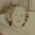 Valerie Pratt-Perry's profile image