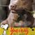 Julie Johnson's profile image