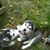 Rodney Koeller's profile image