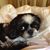 Lori Gilbertson Strand's profile image