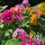 Beverly Lamers's profile image