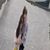 Robin Prothro's profile image