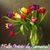 Zita Pacheco's profile image