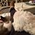 Patti Eperthener Kearns's profile image