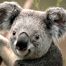 GODIS W.'s profile image